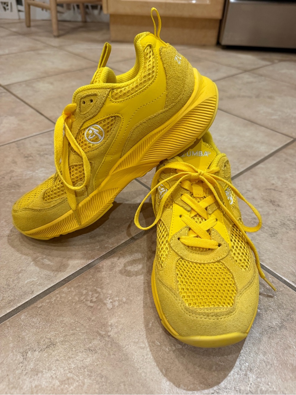 Zumba Fitness Train 2.0